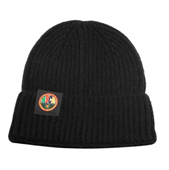 The “HPN Classic Logo Beanie” in Black