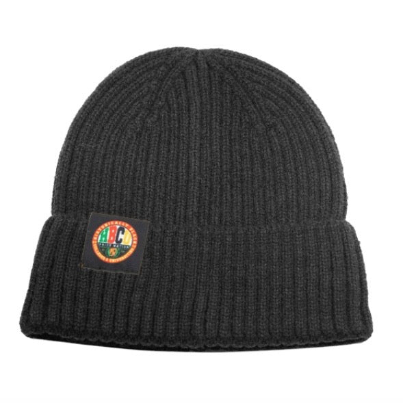 The “HPN Classic Logo Beanie” in Black